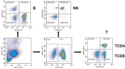 The Model for End-Stage Liver Disease Score and the Follow-Up Period Can Cause the Shift of Circulating Lymphocyte Subsets in Liver Transplant Recipients